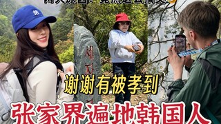 “精准打击”韩国人的痛点！张家界文旅牛啊！