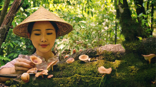 野香菇，一种长在云南深山枯木里的“长寿菜”