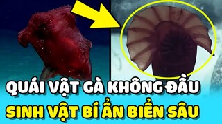 💥Quái vật "GÀ KHÔNG ĐẦU" bí ẩn xuất hiện dưới ĐÁY BIỂN  | TIN GIẢI TRÍ