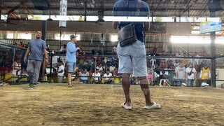 Dayo sa banay banay amadeo