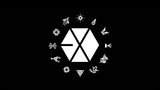 EXO MASHUP [10 Songs] by Kai Hayden