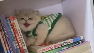 "Rough with a Hint of Sweetness"