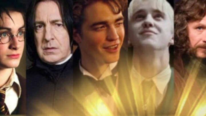 "HP Group Portrait Mixed Cut" 2021 Hogwarts Beauty Contest Male God Main Division + Fan Division Pre