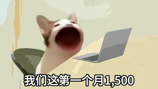 被逼疯的面试官