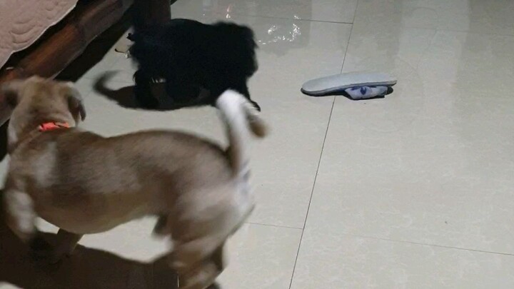 Noah and Lily