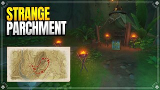 Strange Parchment Treasure! | World Quests & Puzzles |【Genshin Impact】
