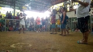 panalo update ng ating buyer #MWR Oslob Cockpit Arena