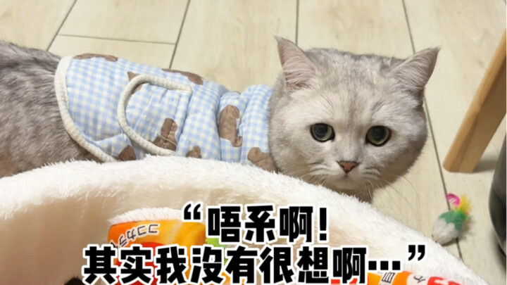 来自姐姐的血脉压制