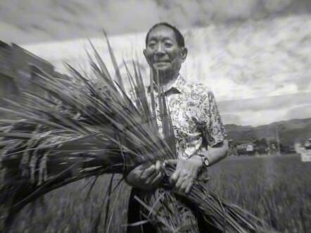 "A dream of resting under the crops, with the fragrance of rice flowers drifting for miles."