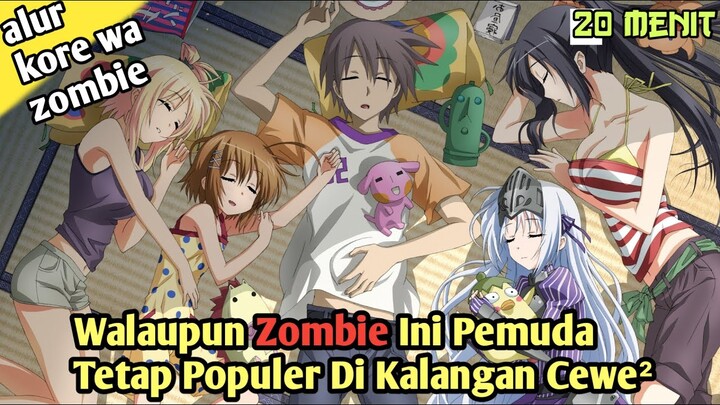 Seorang Pemuda Z0mbie  - Alur Cerita Anime Kore Wa Z0mbie Desuka