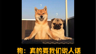 I, the dog, am almost speaking human language.