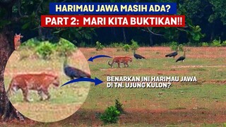 Part 2. Harimau Jawa Masih Ada: Mari Kita Buktikan Kalau Harimau Jawa Belum Punah!