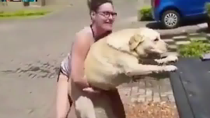 “You’re such a dog.”