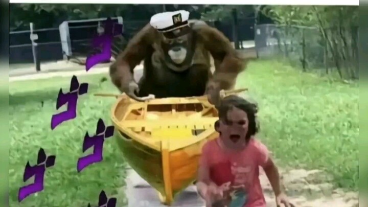 jojo梗图丨3丨