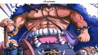 Trái ác quỷ và thứ hạng của các thành viên nhóm Tobi Roppo 2