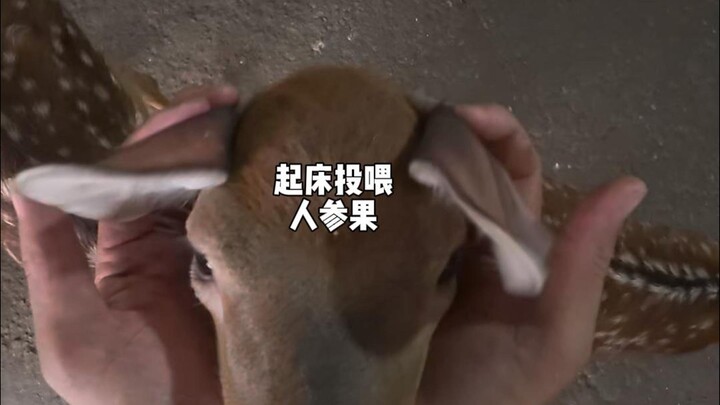 蛋清&蛋黄洗澡.....