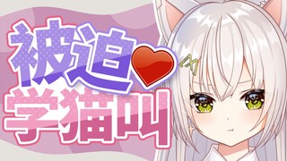 成年人学喵叫就很OO