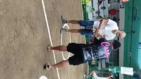moises