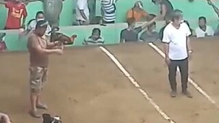 Sampu anim! Bigtime ang kalaban