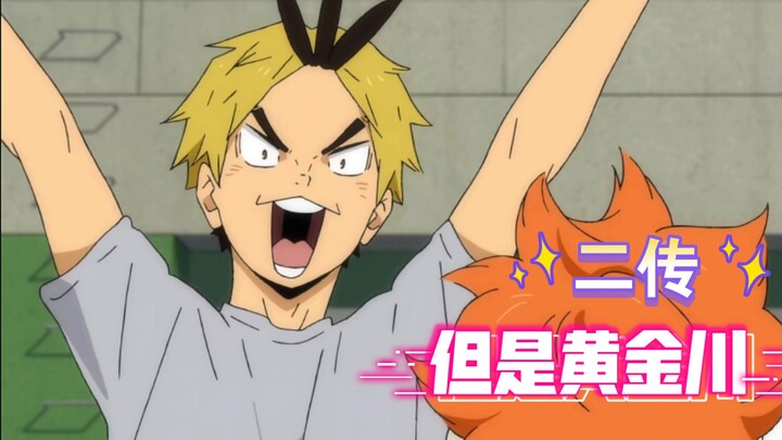 [Volleyball Boys｜Huang Jinchuan] Alternative setter, cute single-celled iron-walled socialite