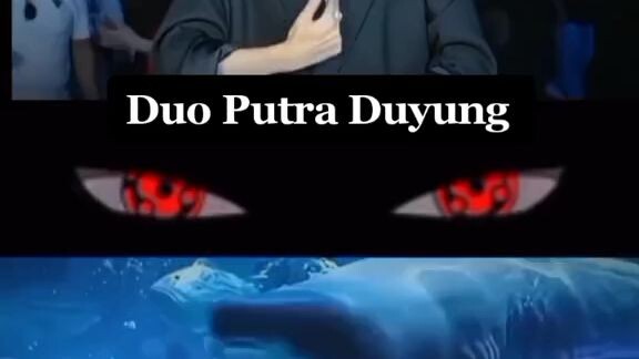 dua putra duyung