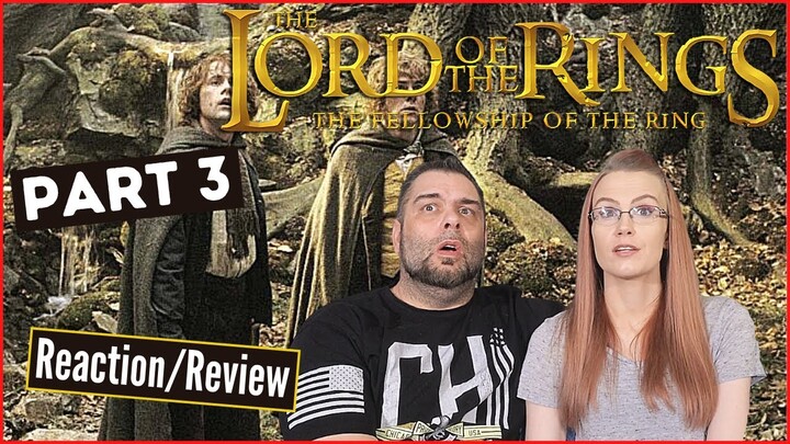 Lord Of The Rings 'The Fellowship Of The Ring' - Part 3 | Reaction | Review