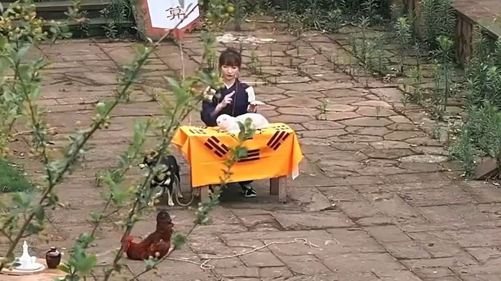 เจ้าสาวดวงขาดทอง vs เจ้าบ่าวอัปมงคล Ep1/5 #หนังสั้น #หนังจีน #ซีรี่ดัง #ซีรี่จีน