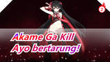 Akame Ga Kill|Ayo bertarung!_2