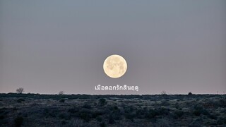 เมื่อดอกรักสิ้นฤดู