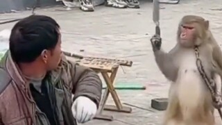 I cried after watching it