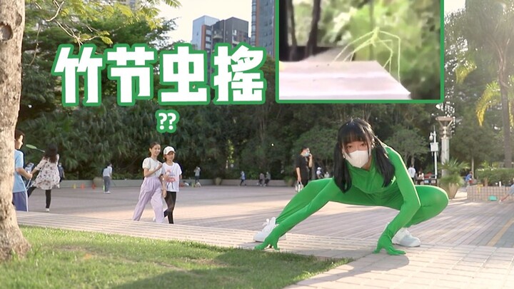 【依依酱】真❤野外竹节虫