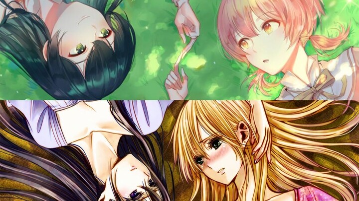 là cam quýt của bạn