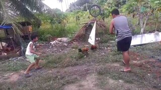 Pula vs Pula (brothers)
