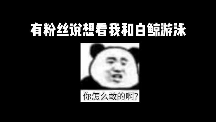 Sudah berenang, tapi paus putih kecil nggak mau aku lanjut!