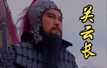 丞相，这两刀算是还了你知遇之恩啦《三国演义》