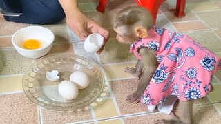 Princes Maya Want To Help Grandma Fried Egg For Dinner