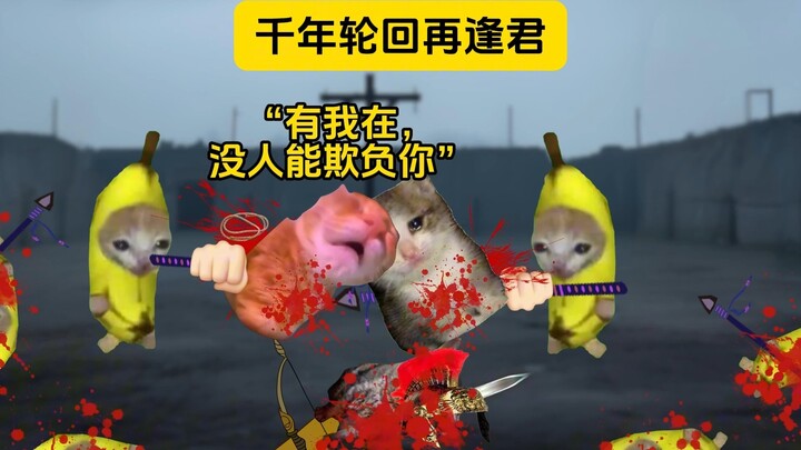 Ngàn năm luân hồi lại gặp chàng