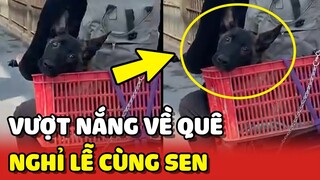 Hành trình VƯỢT NẮNG về quê NGHỈ LỄ cùng Sen của Boss 😂 | Yêu Lu
