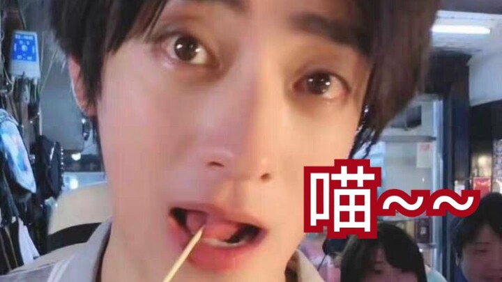 【เจิ้งอวิ๋นหลง】กากั่ว: ใครเลียนแบบแมวได้เหมือนที่สุด ก็ต้องเป็นเจิ้งอวิ๋นหลงนี่แหละ (ขอถามหน่อยได้ไห