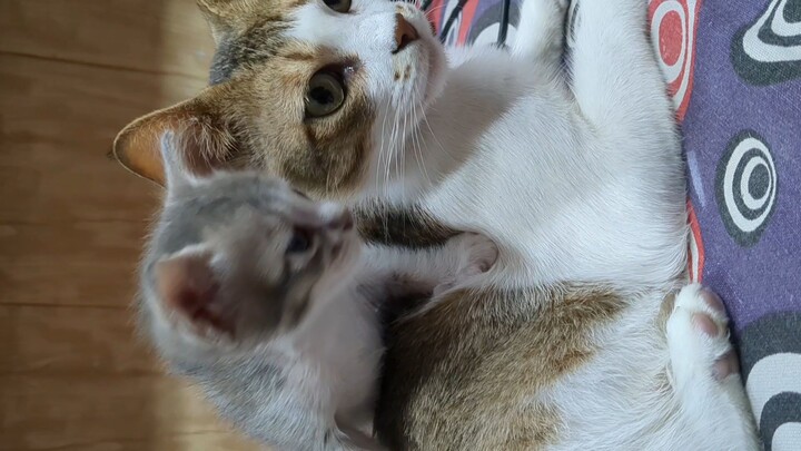 Mom and baby 🥹✨🫶🏻