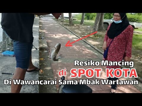 Mancing dapat belukang babon langsung di wawancarai sama mbak Wartawan tv di Malaysia