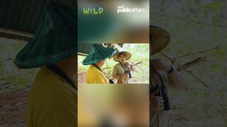 Ano nga ba ang ‘siblicide’? #shorts | Born to be Wild