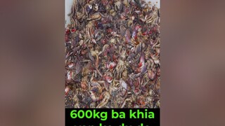 600kg ba khía vẫn ko đủ để bán tythygoiđuđu xuhuong giaitri vuinhon haihuoc funnytiktok funny tythy săntinvlog tythygoiđuđu