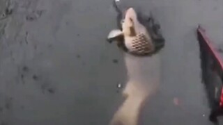 Bro, don't scare me like that—I can't handle it for my heart!