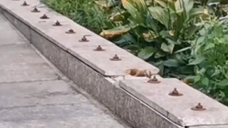 👀看看近视眼的世界有多离谱!