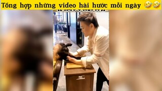 Tổng hợp những video hài hước mỗi ngày#haihuoc#hài#tt
