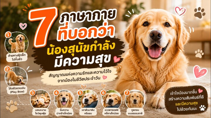 7 ภาษากายที่บอกว่าน้องสุนัขกำลังมีความสุข