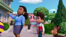 Paw patrol Musim 11 Episode 20 original