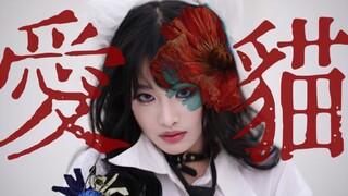 【TAKO】Kucing Kesayangan｜Kakumi.ver