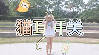 عيد الحب الصيني + قطة صغيرة = مفتاح آذان القط؟